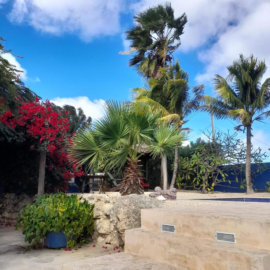 Caribbean Chillout Apartments Kralendijk  Luaran gambar