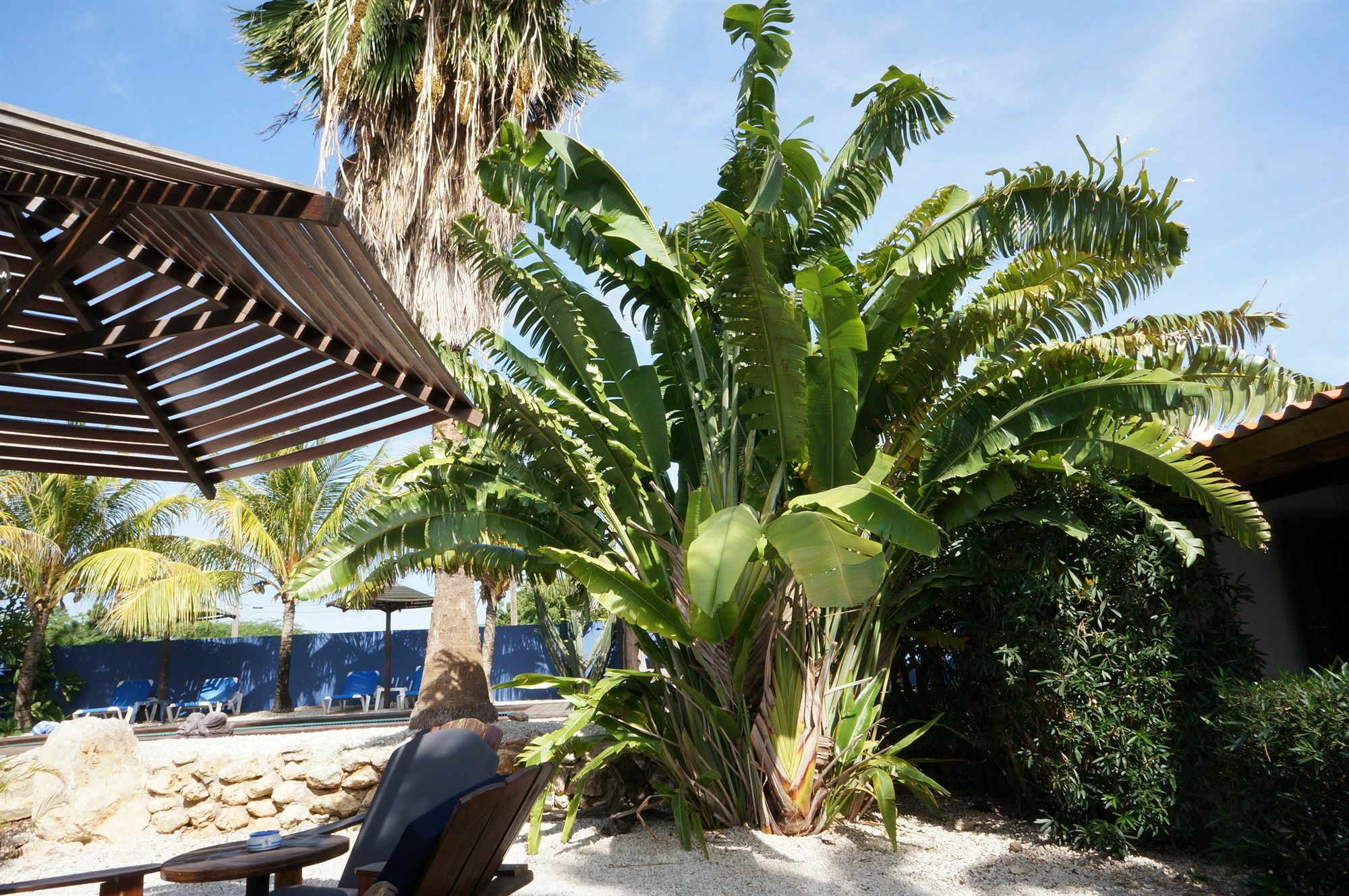 Caribbean Chillout Apartments Kralendijk  Luaran gambar